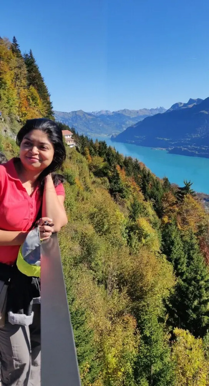 Swiss Interlaken Apartment Luxury