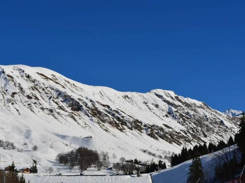 Appartement Le Grand-Bornand, 1 pièce, 4 personnes - FR-1-241-6