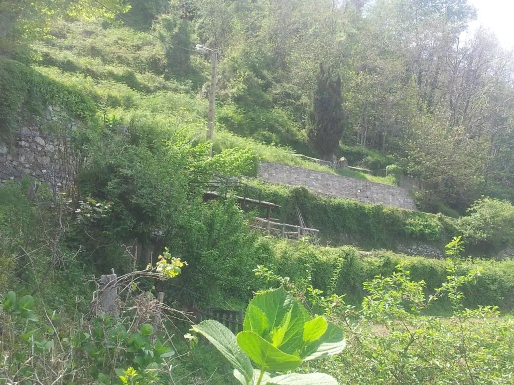 Gîte La Fontaine Corse