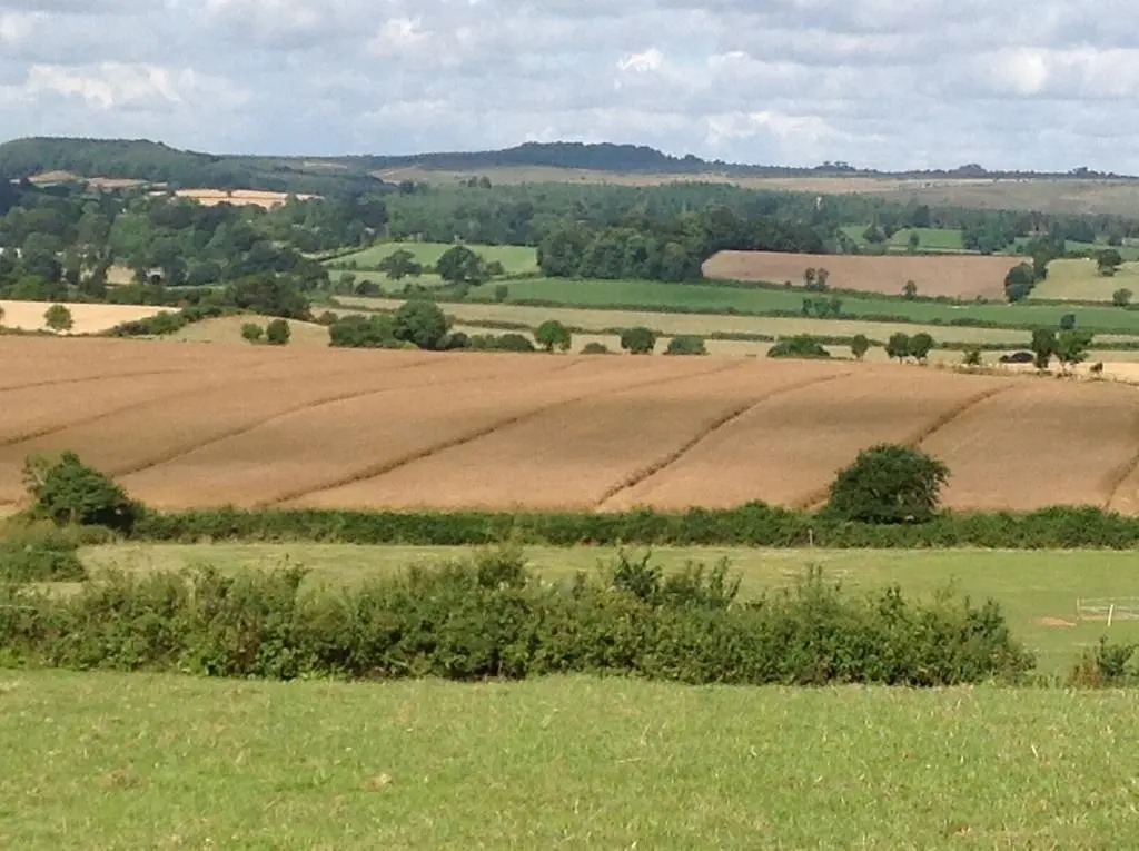Lower Pinn Farm