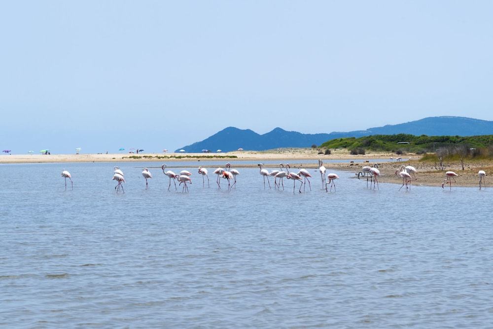 Valtur Sardegna - Eos Costa Rei