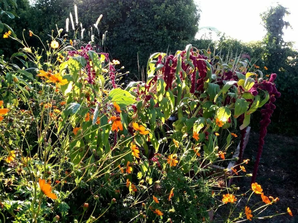 Giardino della Moscatella
