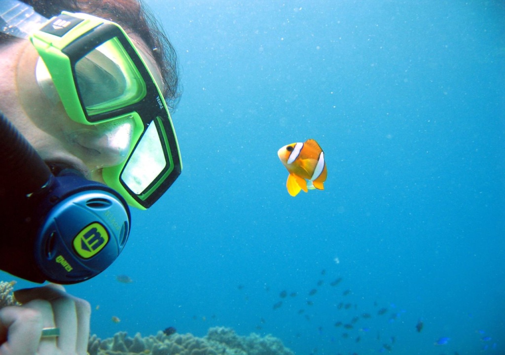 Blue Star Dive and Resort