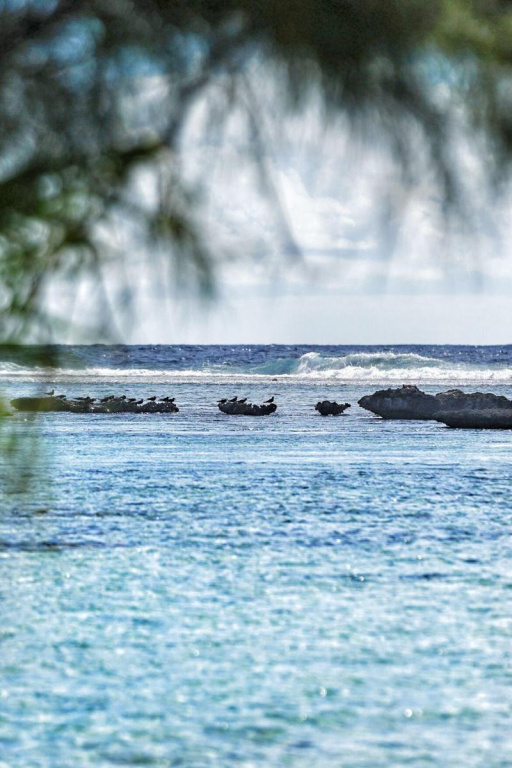 EDEN Private Island TAHAA