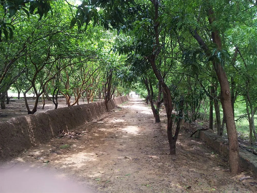 Abrar Palace Wildlife Resort