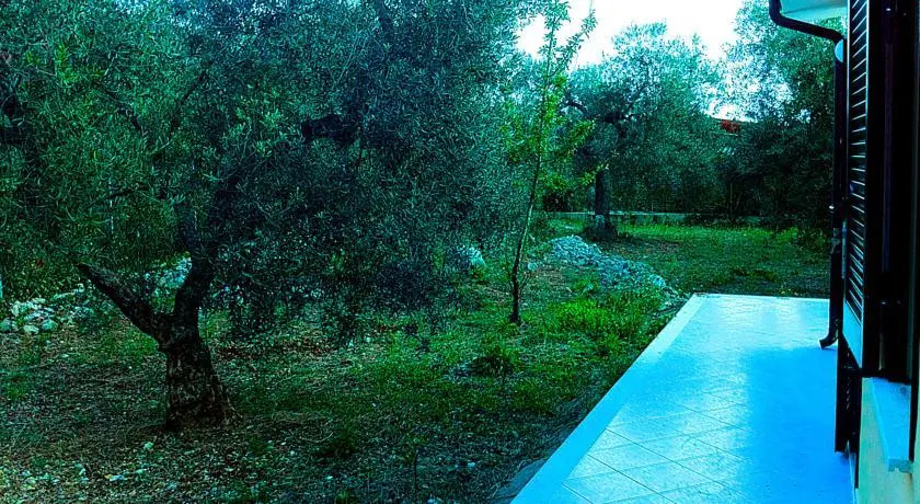 Villa Olivia