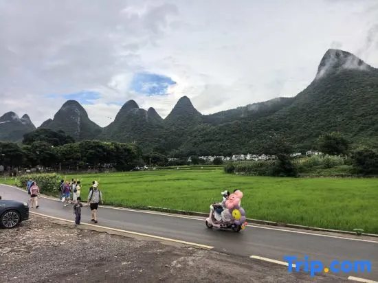 Xingyi Wanfeng Forest Traveler Home