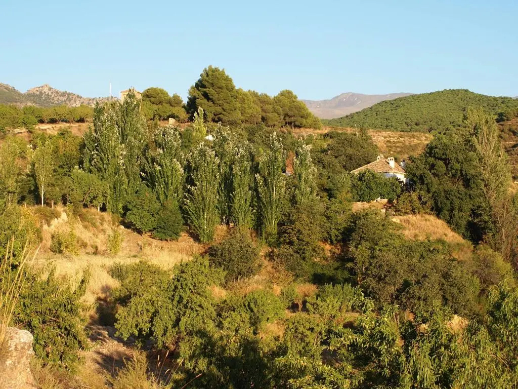 Cortijo Balzain