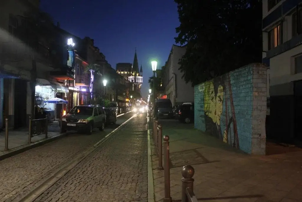 Akhmeteli street N.5