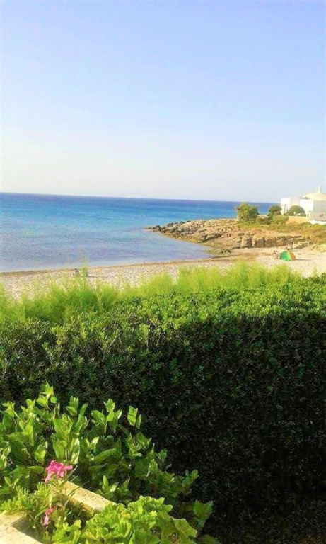 Holiday home Rue Socrate El Mansoura