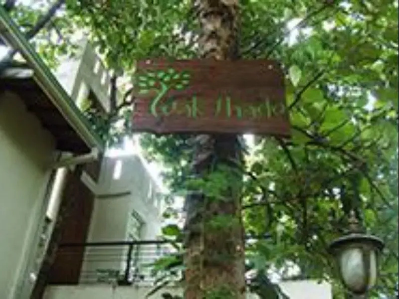 The Teak Shade