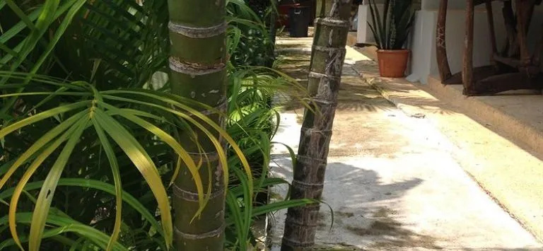 Baan Chang Residence