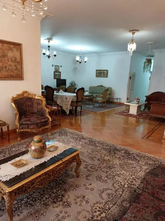 1 bedroom apartment in the heart of Cairo , just 15 minutes from the airport