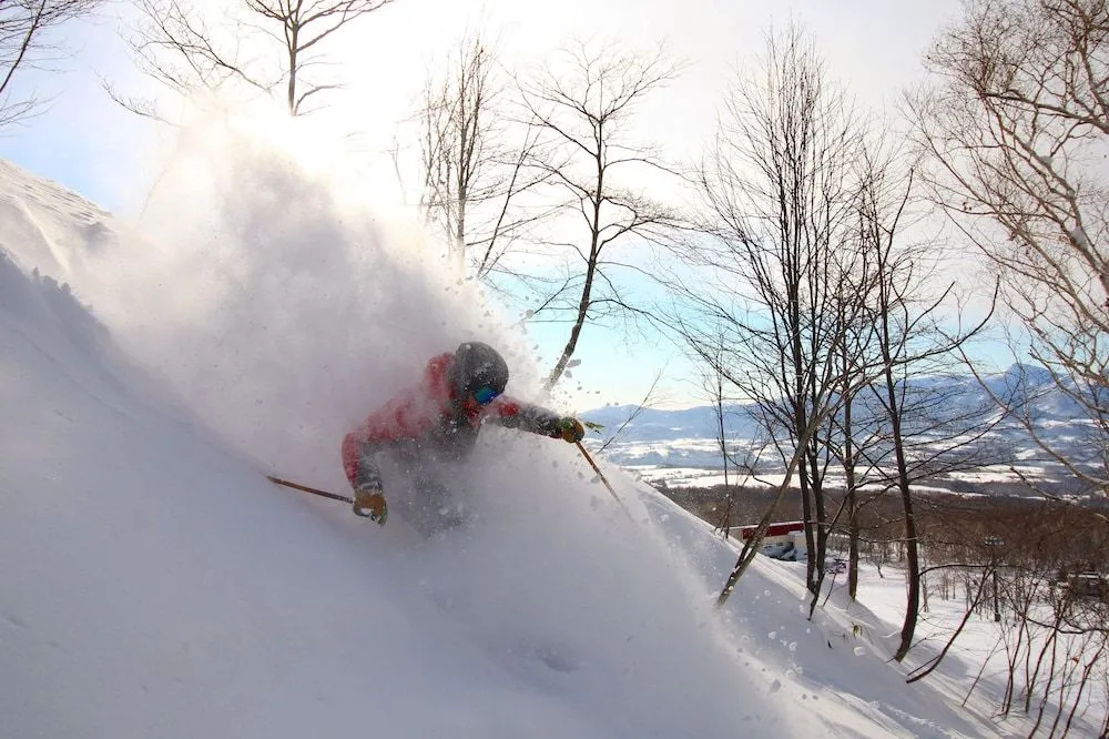 Owl House Niseko