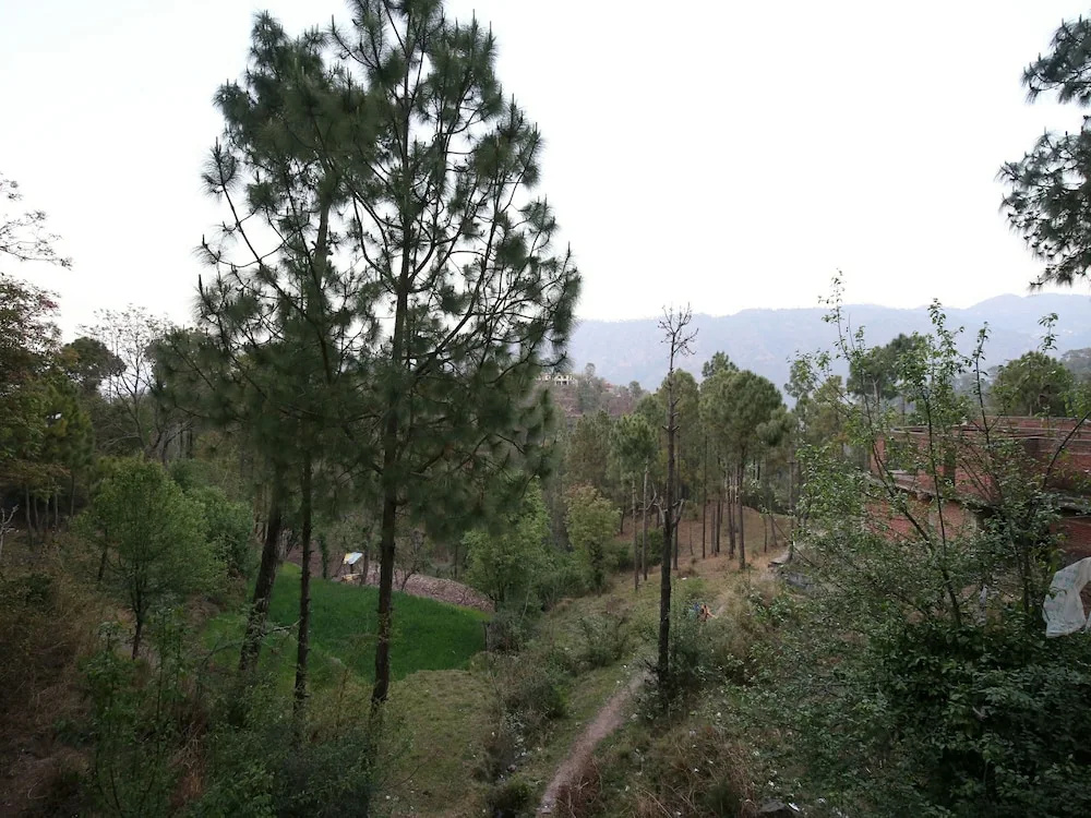 OYO 13676 Home Duplex 2BHK Hill Crest Kasauli