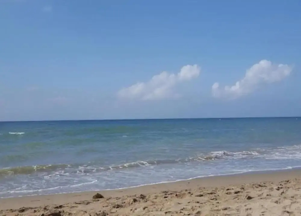 Apartment Marbella 100m From Beach