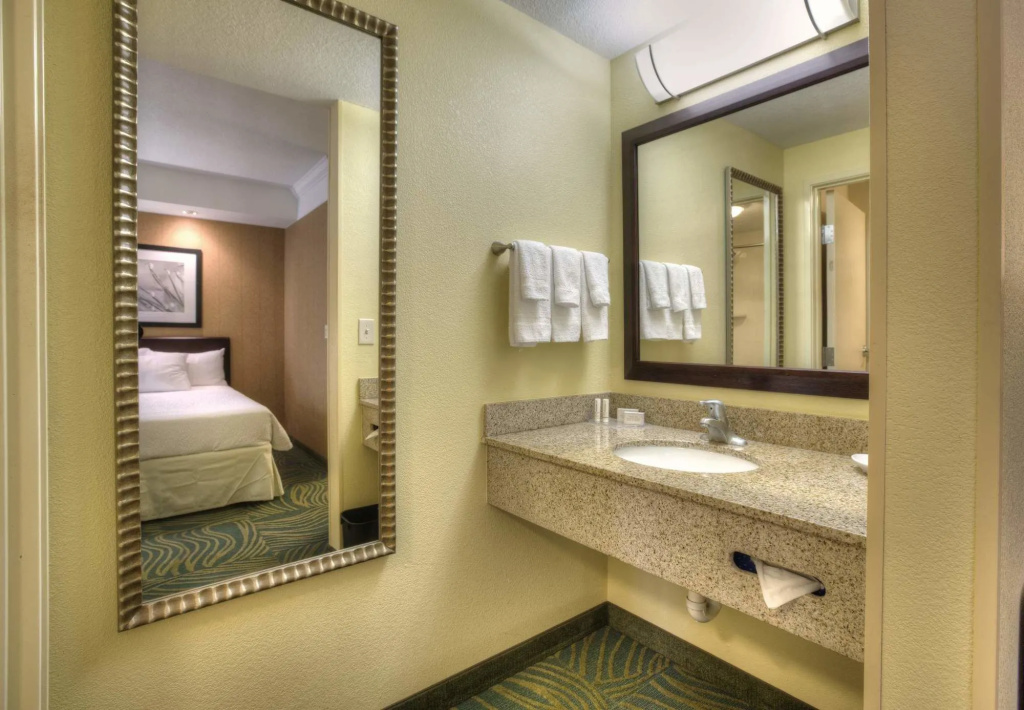 SpringHill Suites by Marriott - Tampa Brandon