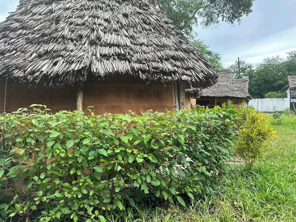 Zanzigo