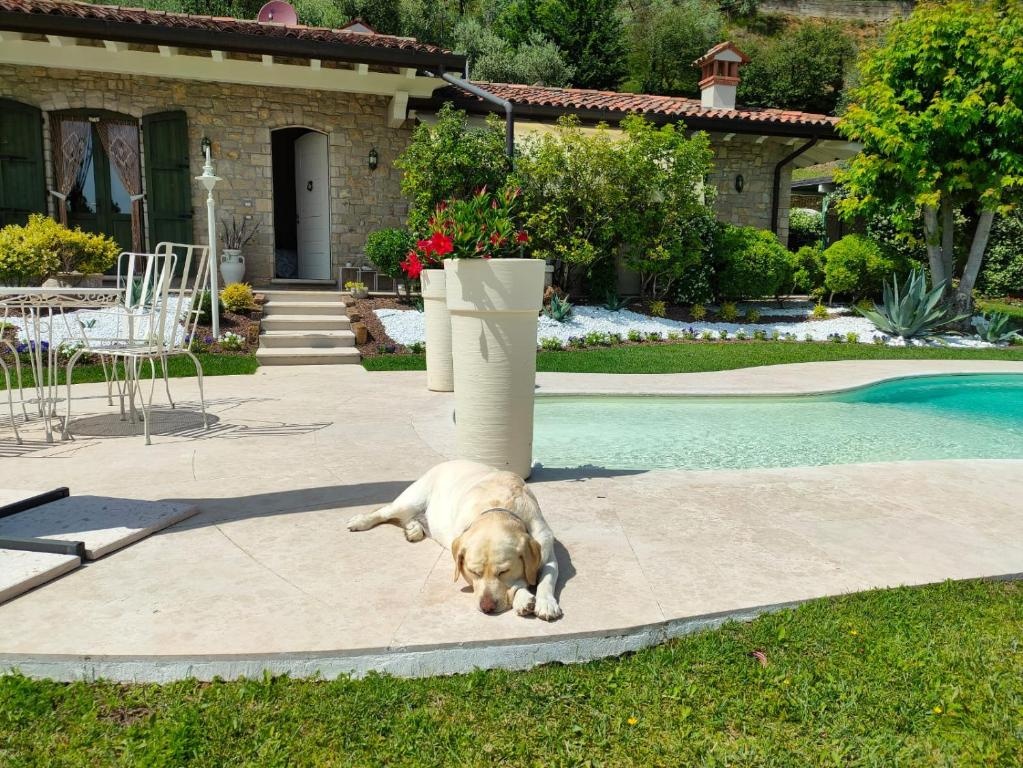 CHALET VELA Natura e Relax