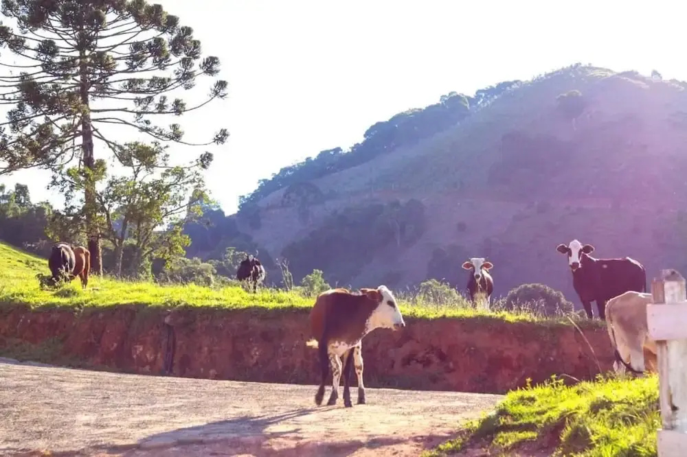 Pousada Vista do Paraíso