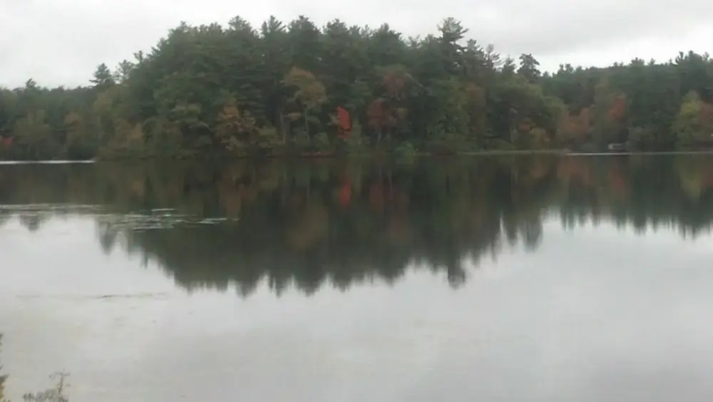 The Cottages at Harvey Lake