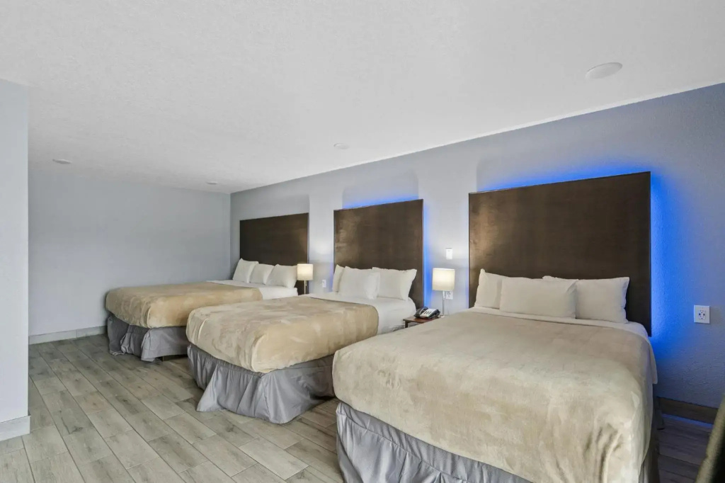 Celebration Suites