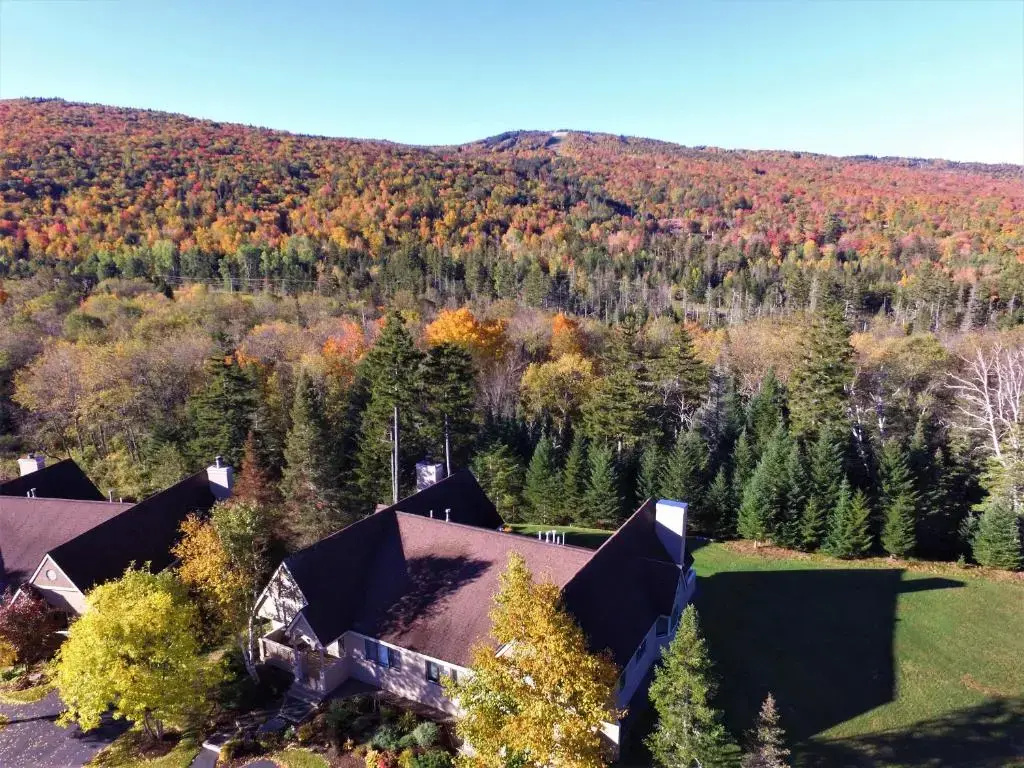 F8 Luxurious Mt Washington Hotel Golf Course Home Wifi Cable Air Conditioning