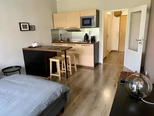 Apartman Luhacovice