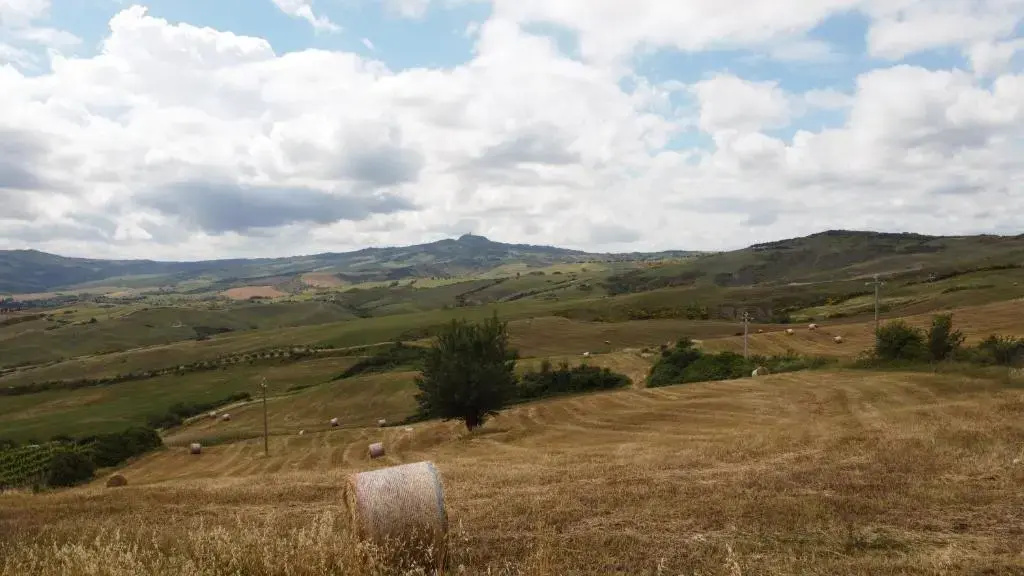 Noi 2 Vacanze - il Nido di Gina