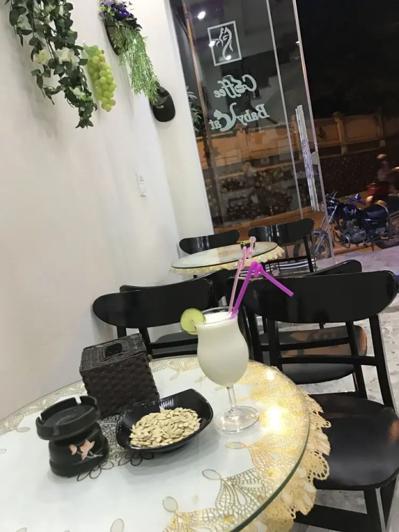 Babycat Guesthouse & Cafe