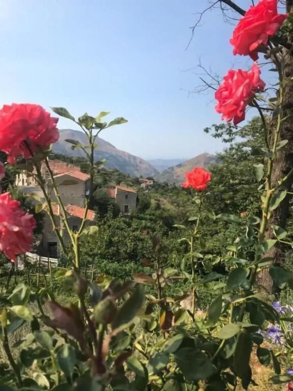Antico Borgo San Francesco