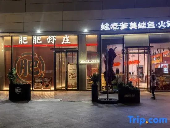 Meet Art Homestay (Wuhan Longhu Baisha Sky Street)