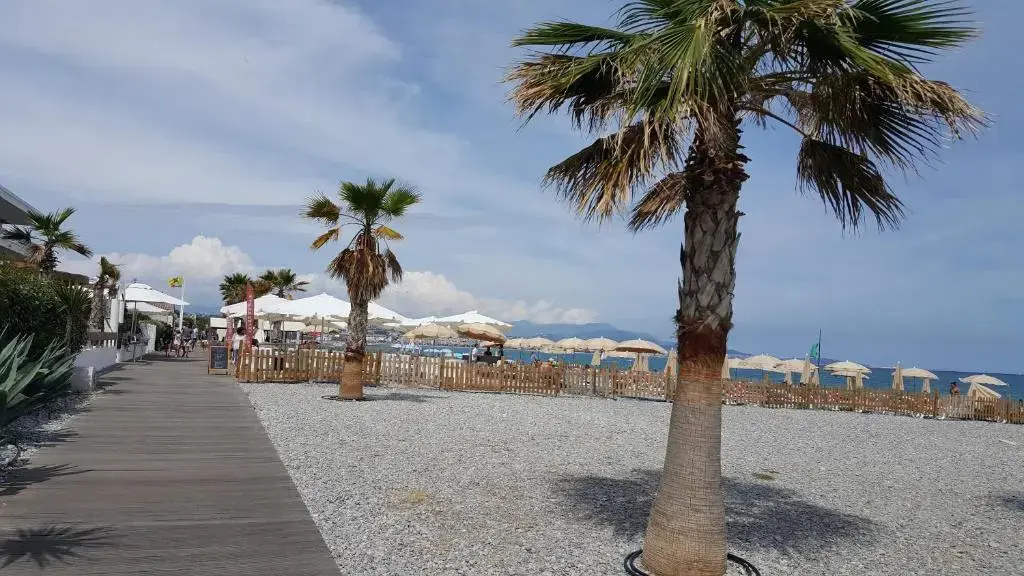 Studio des Anges