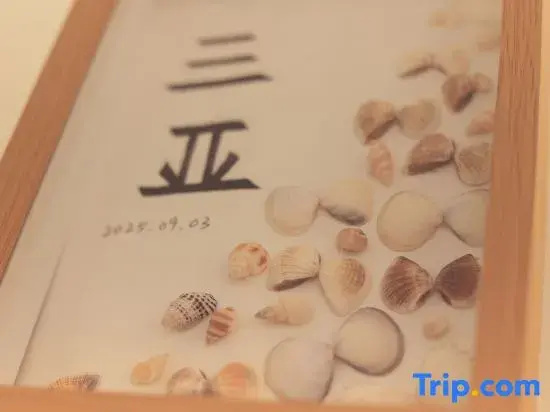 Sanya came to the fully intelligent seaside designer Meisu as promised (Tianya Town Store)