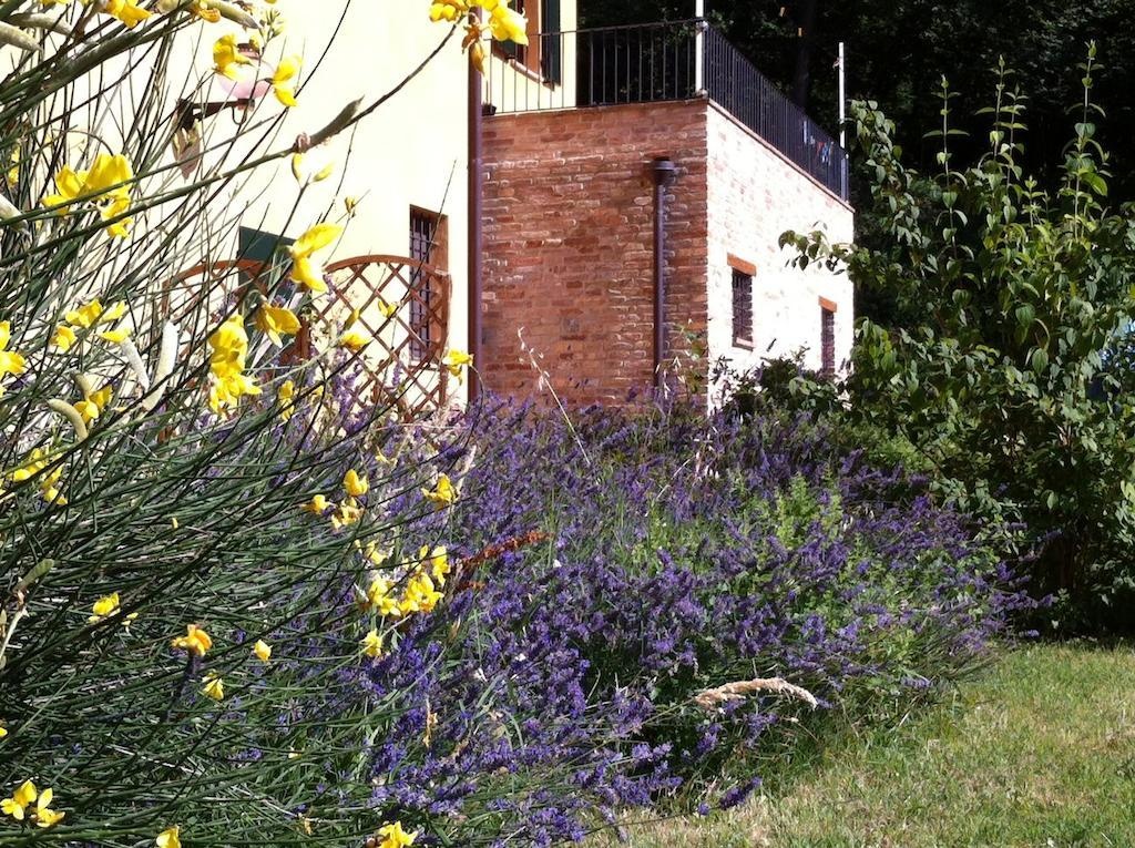 B&B Cal Torello