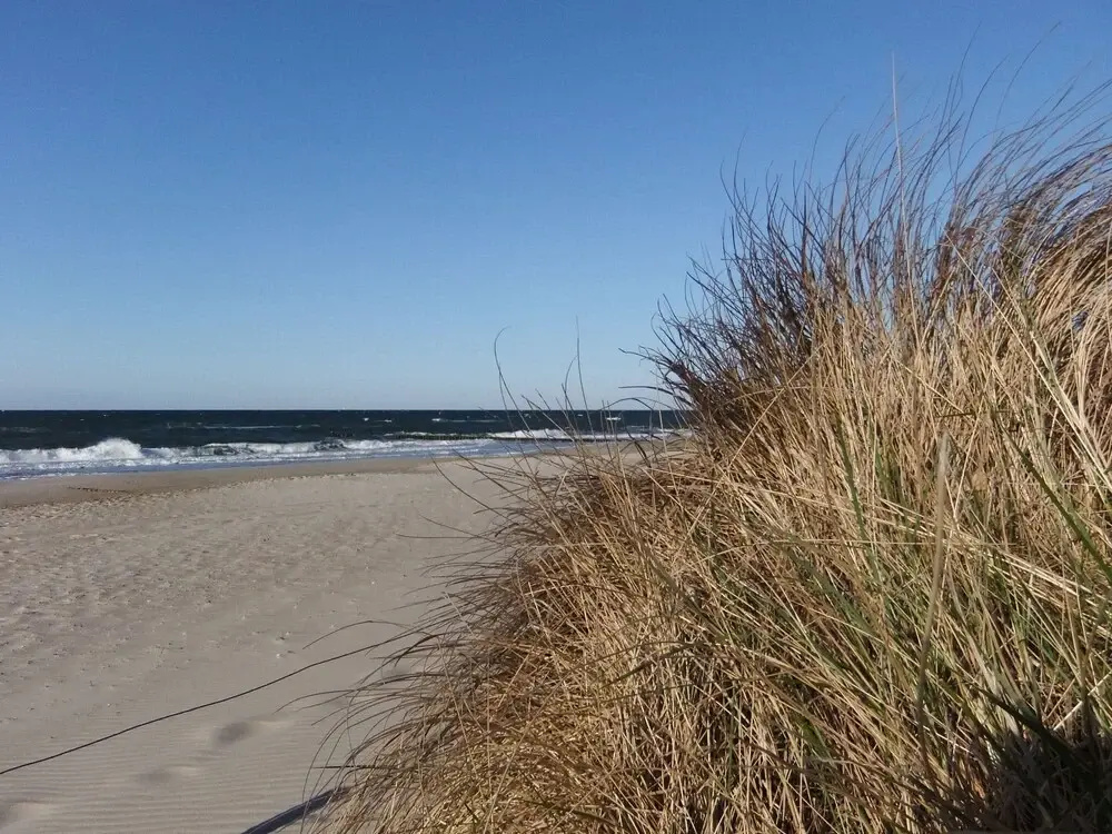 Gorgeous Beachfront Apartment in Rerik
