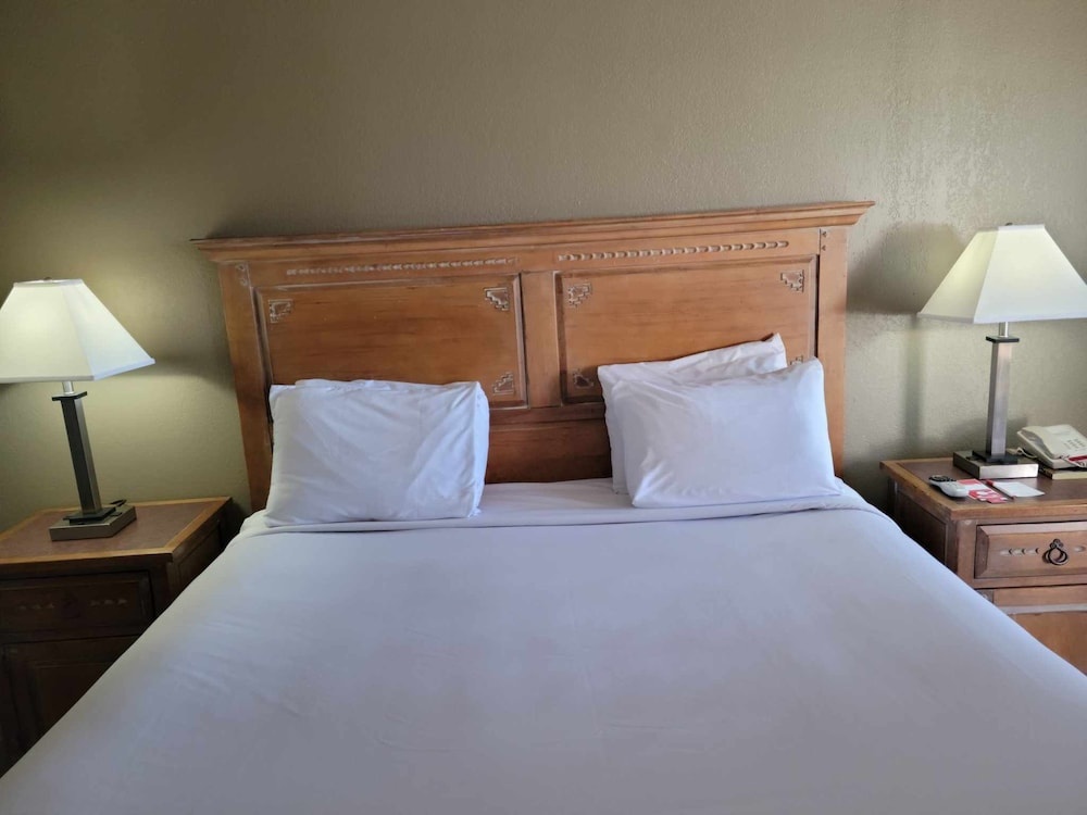 Econo Lodge Springerville