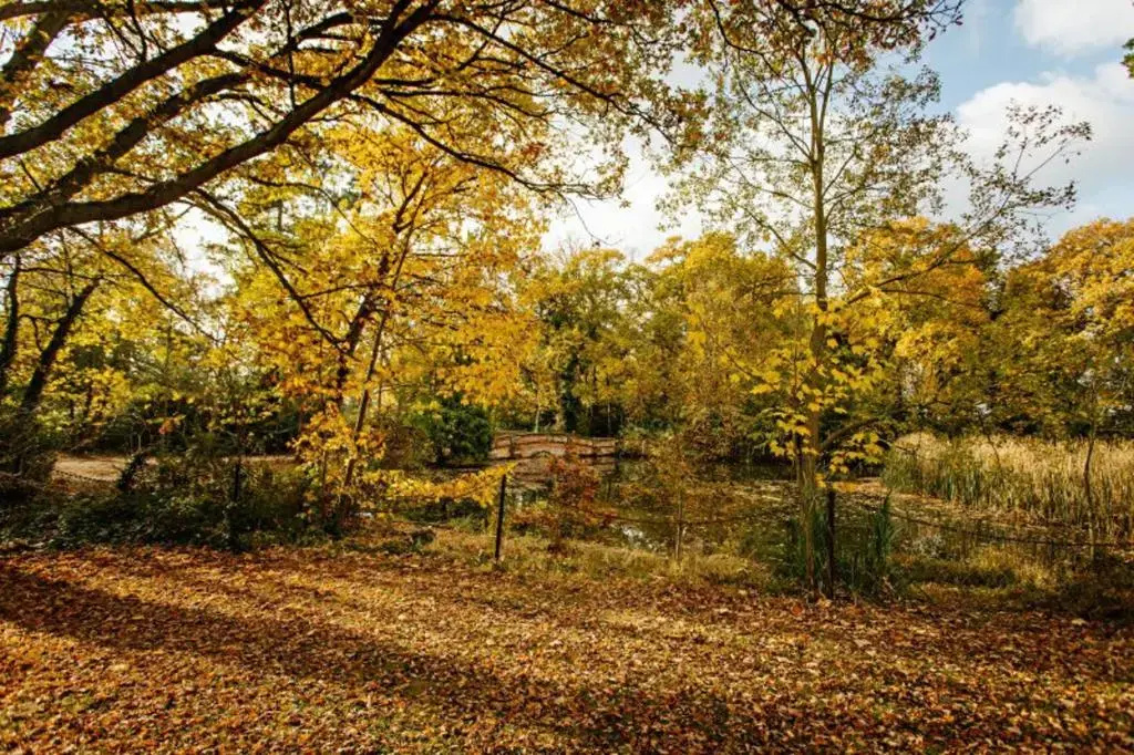 Elizabethan Manor House - Sleeps 2-4 - Parking
