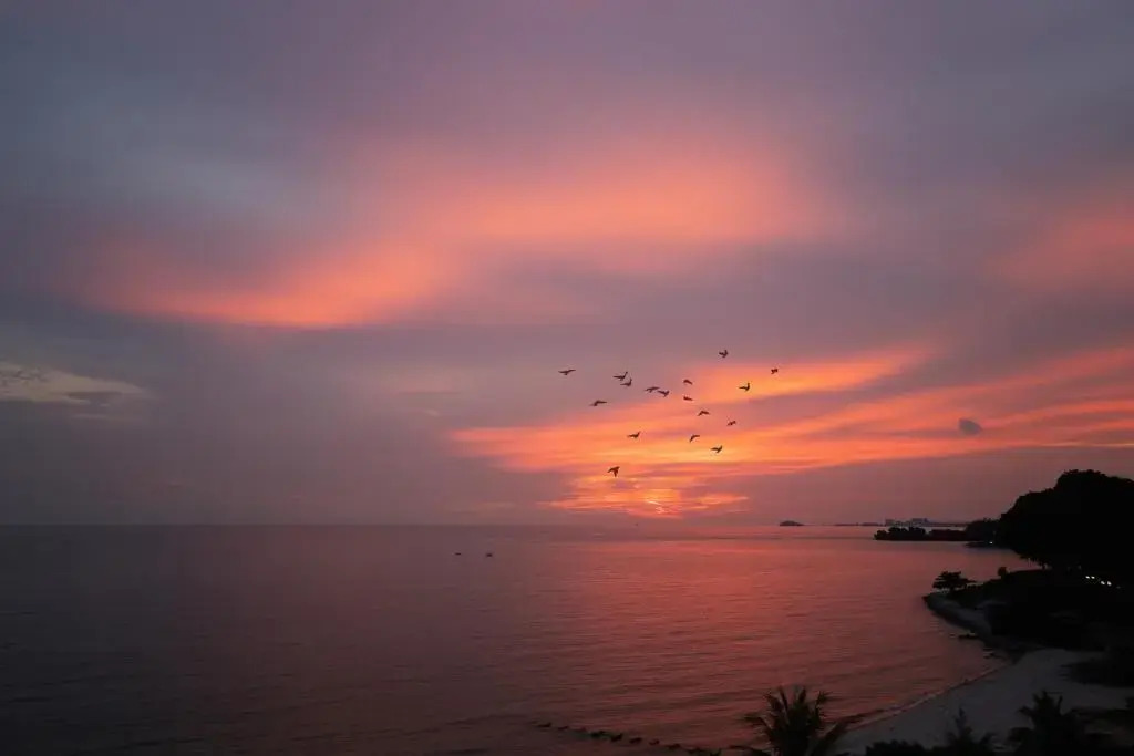 Lovely 1-bedroom condo with pool