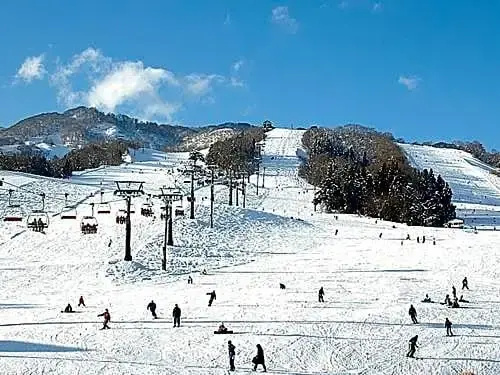 Togari Onsen Alpine Plaza - Vacation STAY 01072v
