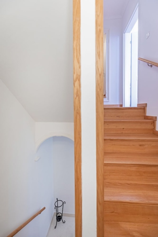 Apartments Feri