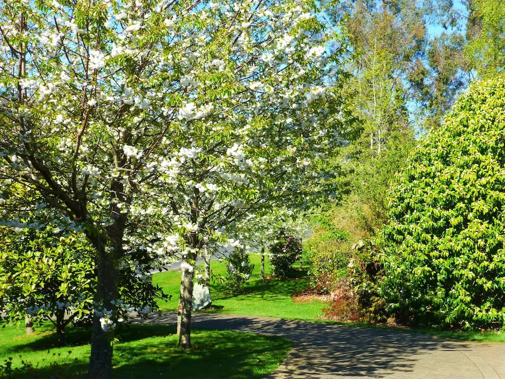 Acacia Heights - Garden Cottage - Taupo