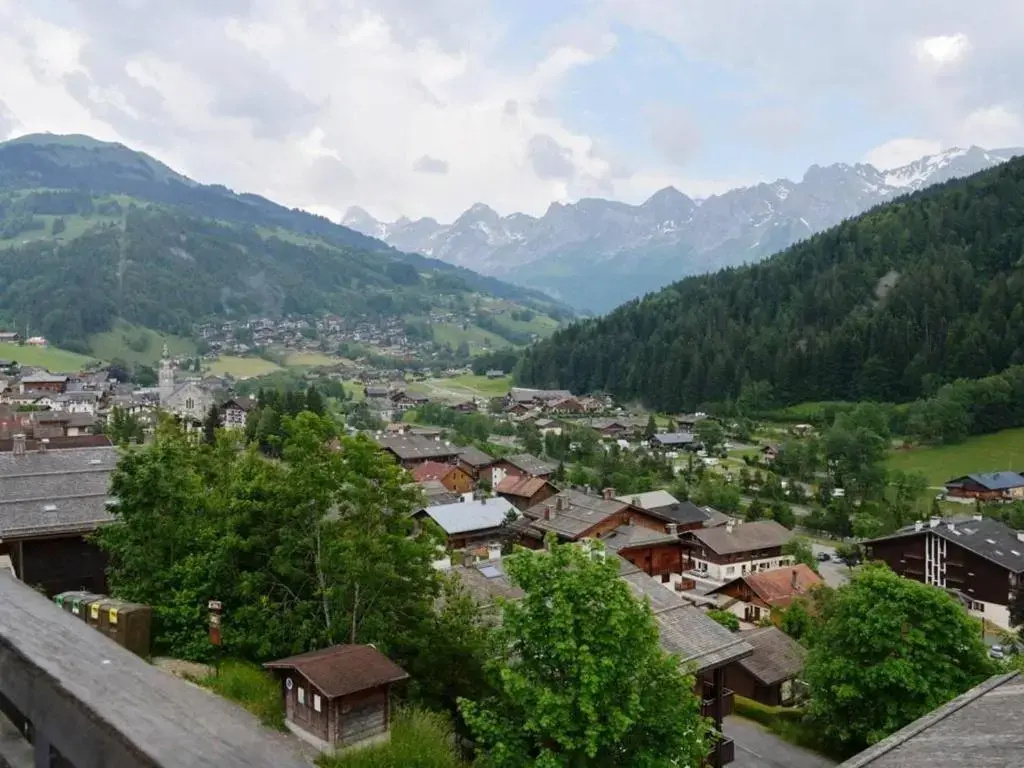 Appartement Le Grand-Bornand, 1 pièce, 4 personnes - FR-1-241-132