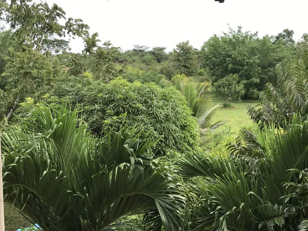 Super Palm Resort
