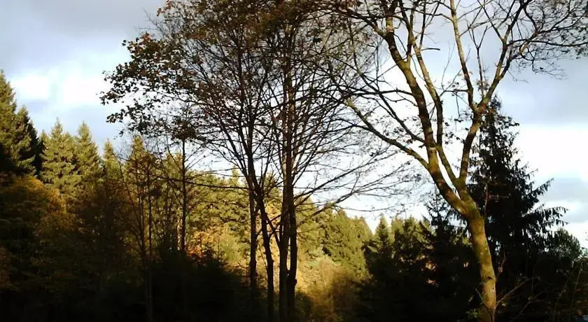 Trambach