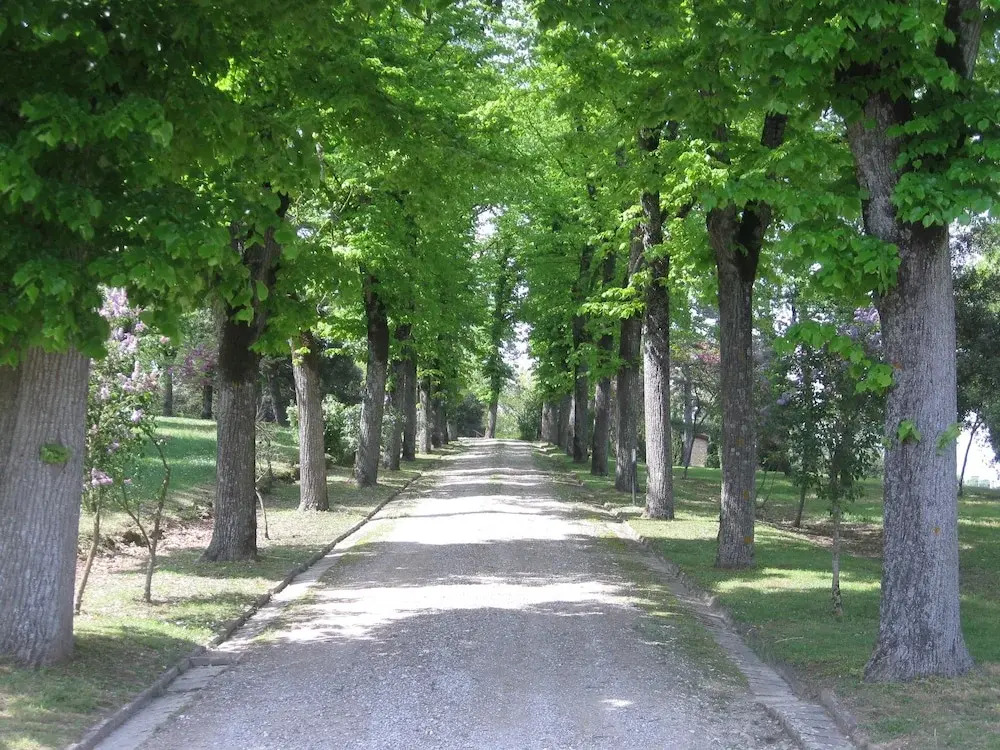 Agriturismo Poggiolo