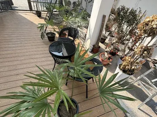 Jianxuan Homestay
