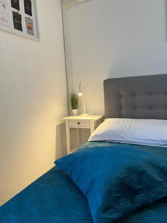 Apartments and Rooms Lorena 236