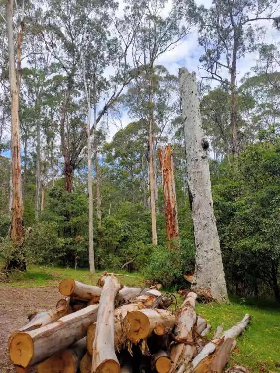 Lakes Entrance Log Cabins