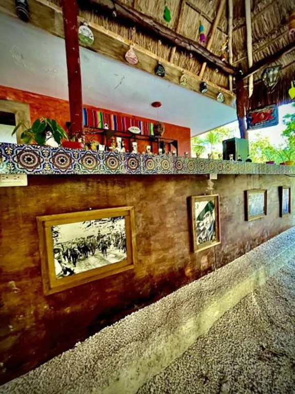 Hotel Tequila Cancun